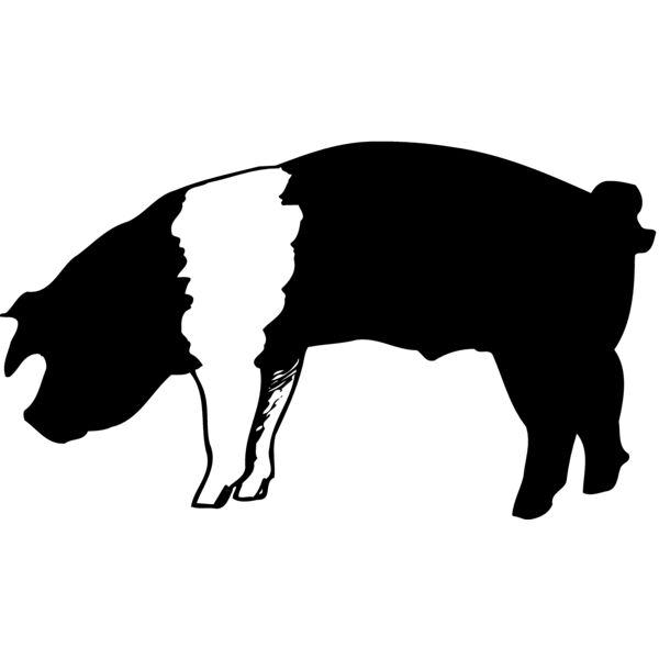 HOG0007 Thumbnail